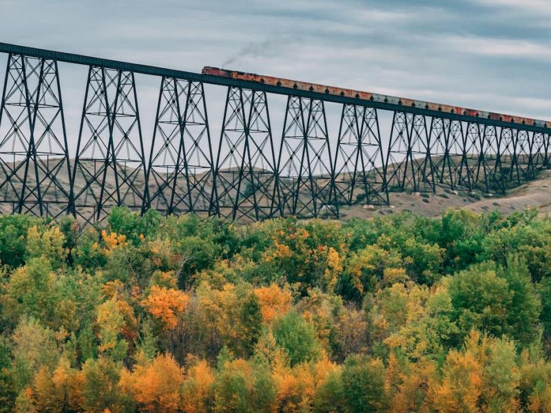 Fun is Relative in Lethbridge ZenSeekers Fun is Relative in Lethbridge ZenSeekers